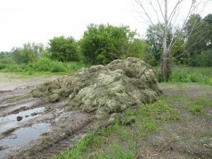 2015-07-09 04.05.25 (640x480)